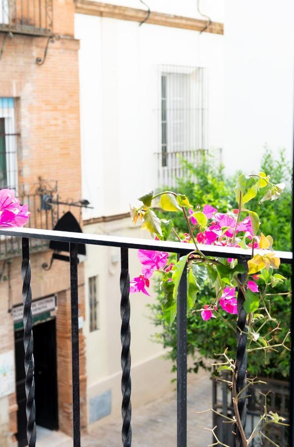 Tourist House Santa Cruz Apartment Sevilla Exterior foto